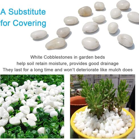 M-jump 1 رطل 2.54 سم - 5.08 سم الأحجار الزخرفية الطبيعية الحصى البيضاء المصقول تستخدم في الأواني الزجاجية، مثل المزهريات والأحواض المائية لتعزيز المظهر in Kuwait