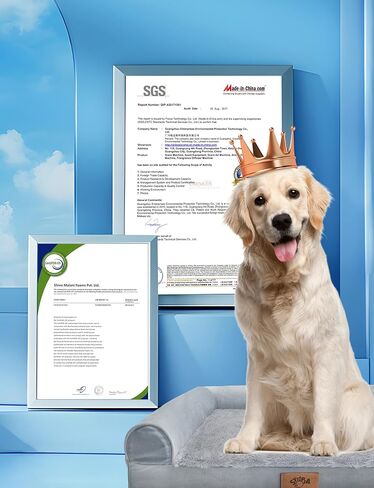 سرير سيتوبيا للكلاب مقاوم للمضغ، أريكة لتقويم العظام للكلاب الكبيرة جدًا، قابلة للغسل، سرير أريكة مع بطانة مقاومة للماء وقاعدة مضادة للانزلاق، مقاس XL in Kuwait