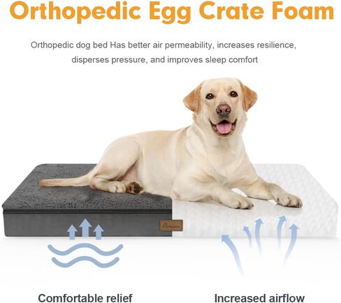 أسرة فانانسا المقاومة للماء للكلاب الكبيرة، سجادة سرير بيضاء من الإسفنج الذكي للكلاب الأليفة، أريكة مضادة للانزلاق، سرير على شكل قفص للكلاب، غطاء قابل للإزالة والغسل للكلاب، متوفر في جميع المواسم بسحاب مخفي رمادي M in Kuwait