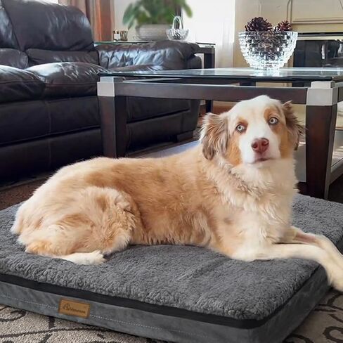 أسرة فانانسا المقاومة للماء للكلاب الكبيرة، سجادة سرير بيضاء من الإسفنج الذكي للكلاب الأليفة، أريكة مضادة للانزلاق، سرير على شكل قفص للكلاب، غطاء قابل للإزالة والغسل للكلاب، متوفر في جميع المواسم بسحاب مخفي رمادي M in Kuwait