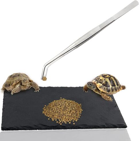 لينيفار طبق طعام على شكل سلحفاة صخرية متشمسة، طبق بلاطة للزواحف لسلحفاة جيكو والتنين الملتحي 11.87 انش × 7.87 انش × 0.15 انش in Kuwait