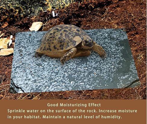 لينيفار طبق طعام على شكل سلحفاة صخرية متشمسة، طبق بلاطة للزواحف لسلحفاة جيكو والتنين الملتحي 11.87 انش × 7.87 انش × 0.15 انش in Kuwait