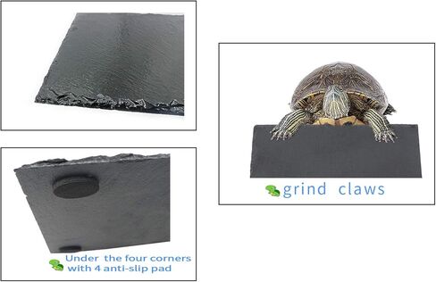 لينيفار طبق طعام على شكل سلحفاة صخرية متشمسة، طبق بلاطة للزواحف لسلحفاة جيكو والتنين الملتحي 11.87 انش × 7.87 انش × 0.15 انش in Kuwait