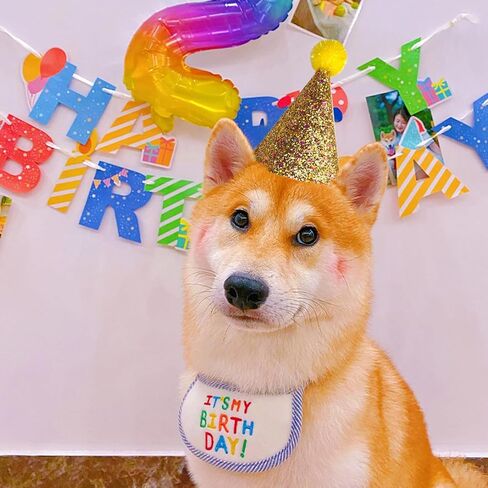 Do-Dottii 3 عبوات من قبعات حفلات أعياد الميلاد للكلاب، قبعات مخروطية لطيفة للجرو، لوازم صغيرة ومتوسطة وكبيرة للأولاد والبنات، تزيين الكلاب والقطط، قبعات عصابة رأس للحيوانات الأليفة، إكسسوارات تزيين ساحرة (أسود + وردي + أبيض) in Kuwait