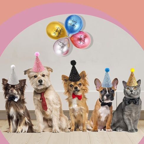Do-Dottii 3 عبوات من قبعات حفلات أعياد الميلاد للكلاب، قبعات مخروطية لطيفة للجرو، لوازم صغيرة ومتوسطة وكبيرة للأولاد والبنات، تزيين الكلاب والقطط، قبعات عصابة رأس للحيوانات الأليفة، إكسسوارات تزيين ساحرة (أسود + وردي + أبيض) in Kuwait