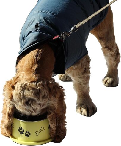 وعاء PETish Spaniel للكلاب ذات الأذن الطويلة - أوعية بتصميم مخصص مريح، طبق غير قابل للصدأ بدون طرف (كبير (27 أونصة - 7.5 × 6.0 × 3.7 بوصة)، وردي كاندي) in Saudi Arabia