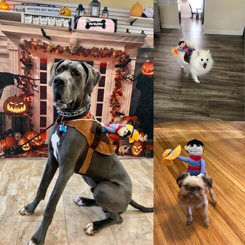 iSmarten Pet Costume Dog Costume Clothes Pet Outfit Suit Cowboy Rider Style with Doll and Hat Pet Costume (S) in Kuwait