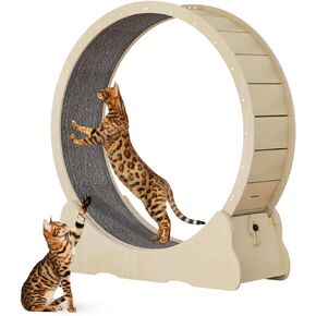 عجلة تمرين القطط من NATUYA للقطط الداخلية، جهاز تمرين الجري للقطط مع آلية القفل، تدريب الجري فائق الهدوء للياقة البدنية للقطط، سهل التجميع (أسود) in Kuwait