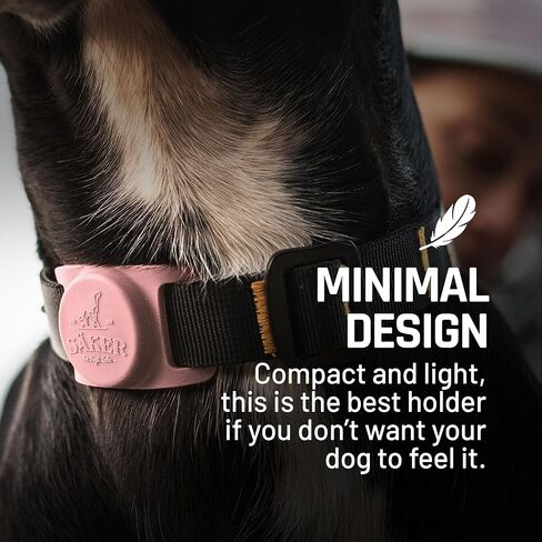 حامل طوق الكلب Mammoth Airtag، حامل Airtag القوي للكلاب هو الطريقة المثالية لتتبع كلبك عبر نظام تحديد المواقع العالمي (GPS) | يستخدم تقنية Apple لتتبع كلبك | لن يضر طوقك - أسود in Kuwait