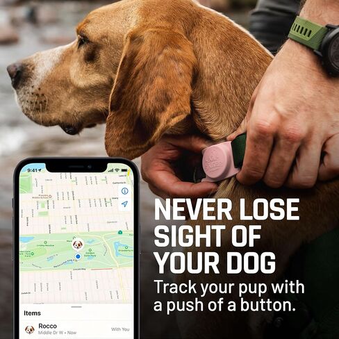 حامل طوق الكلب Mammoth Airtag، حامل Airtag القوي للكلاب هو الطريقة المثالية لتتبع كلبك عبر نظام تحديد المواقع العالمي (GPS) | يستخدم تقنية Apple لتتبع كلبك | لن يضر طوقك - أسود in Kuwait