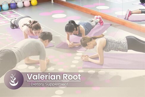 PURE ORIGINAL INGREDIENTS Valerian Root, (100 Capsules) Always Pure, No Additives Or Fillers, Lab Verified in Kuwait