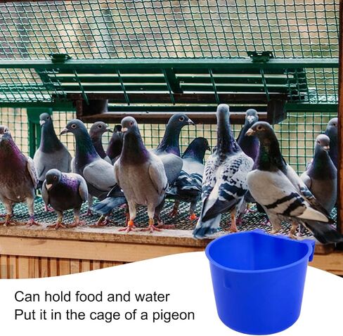 Rainmae 50 Pcs Cage Cups Birds Hanging Feeders Chicken Water Cups Bird Food Bowl 8 oz Plastic Bird Water Dispenser for Small Coop Parrot Parakeet Pet Poultry Pigeon Gamefowl Seed Bowl Supplies (Red) in Kuwait
