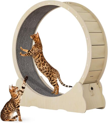 عجلة تمرين القطط من NATUYA للقطط الداخلية، جهاز تمرين الجري للقطط مع آلية القفل، تدريب الجري فائق الهدوء للياقة البدنية للقطط، سهل التجميع (أسود) in Kuwait