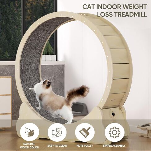 عجلة تمرين القطط من NATUYA للقطط الداخلية، جهاز تمرين الجري للقطط مع آلية القفل، تدريب الجري فائق الهدوء للياقة البدنية للقطط، سهل التجميع (أسود) in Kuwait