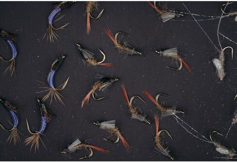 UMPQUA UPG صندوق الذبابة المصنوع من السيليكون لعطلة نهاية الأسبوع - خفيف الوزن ومتين ومتعدد الاستخدامات وذو سعة عالية وحافظة آمنة سريعة التحميل - منظم أدوات صيد الأسماك - صغير in Kuwait