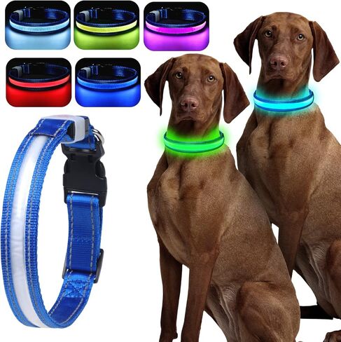 LED Light Up Dog Collars - 1600 Feet of High Visibility, 7 RGB Colors & 5 Light Modes Glow Dog Collar USB Rechargeable Water-Resistant for Small Medium Large Dogs (L, Blue) in Kuwait