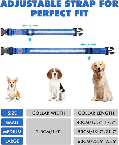 LED Light Up Dog Collars - 1600 Feet of High Visibility, 7 RGB Colors & 5 Light Modes Glow Dog Collar USB Rechargeable Water-Resistant for Small Medium Large Dogs (L, Blue) in Kuwait
