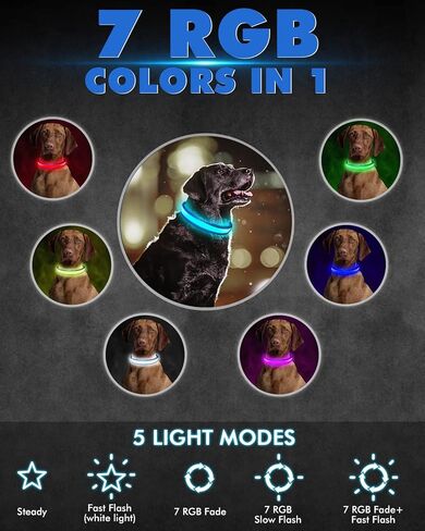 LED Light Up Dog Collars - 1600 Feet of High Visibility, 7 RGB Colors & 5 Light Modes Glow Dog Collar USB Rechargeable Water-Resistant for Small Medium Large Dogs (L, Blue) in Kuwait