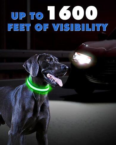 LED Light Up Dog Collars - 1600 Feet of High Visibility, 7 RGB Colors & 5 Light Modes Glow Dog Collar USB Rechargeable Water-Resistant for Small Medium Large Dogs (L, Blue) in Kuwait