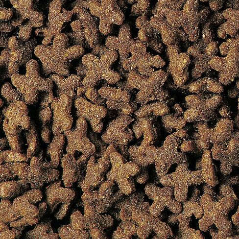 نظام غذائي غني بالمغذيات من وايلد هارفيست القنفذ، 22 أونصة، طعام يومي مدعم بالفيتامينات والمعادن in Kuwait