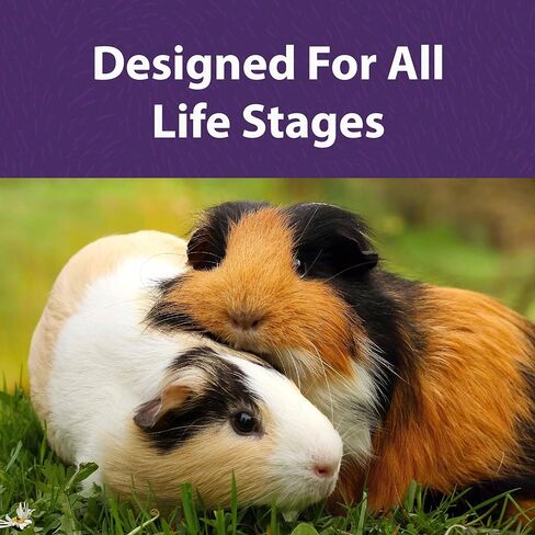 مازوري | تيموثي القائم على خنزير غينيا الغذاء | حقيبة 5 جنيه (5 رطل). in Kuwait