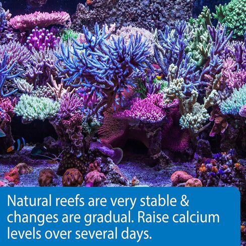 API MARINE CALCIUM Reef Aquarium Calcium Solution زجاجة 16 أونصة in Saudi Arabia
