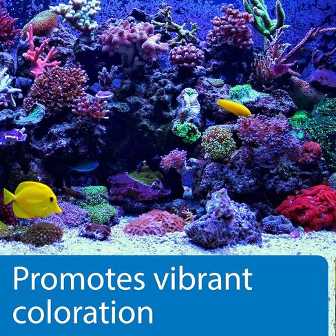 API MARINE CALCIUM Reef Aquarium Calcium Solution زجاجة 16 أونصة in Saudi Arabia