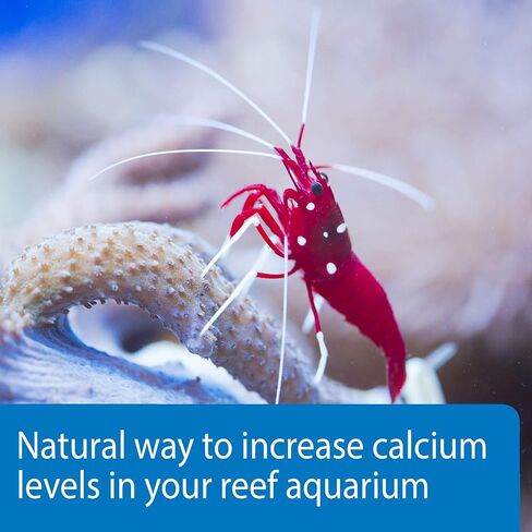 API MARINE CALCIUM Reef Aquarium Calcium Solution زجاجة 16 أونصة in Saudi Arabia