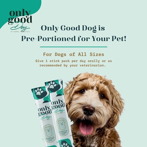 Only Good Dog Daily Probiotics for Dogs, Dog Probiotic Powder with Digestive Enzymes for Digestive Health, Gut Flora, Diarrhea, Fur & Skin Health, Immune Support - Flavorless (25 Sticks) in Saudi Arabia