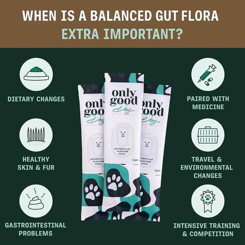 Only Good Dog Daily Probiotics for Dogs, Dog Probiotic Powder with Digestive Enzymes for Digestive Health, Gut Flora, Diarrhea, Fur & Skin Health, Immune Support - Flavorless (25 Sticks) in Saudi Arabia