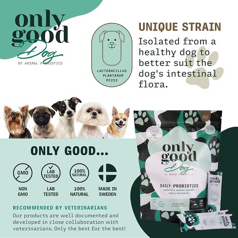Only Good Dog Daily Probiotics for Dogs, Dog Probiotic Powder with Digestive Enzymes for Digestive Health, Gut Flora, Diarrhea, Fur & Skin Health, Immune Support - Flavorless (25 Sticks) in Saudi Arabia