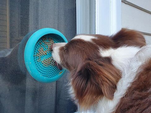 Lickimat UFO Pet Feeder, Dog Dish, Suction Cups, Wet Food in Saudi Arabia