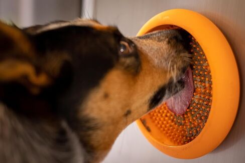 Lickimat UFO Pet Feeder, Dog Dish, Suction Cups, Wet Food in Saudi Arabia