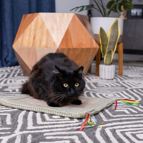 PURRFECT POUCH Cat Scratch Play Mat with Strings, Crinkle Material Cat Scratch Pad Satisfies Kitty's Natural Urge to Scratch and Play in Kuwait