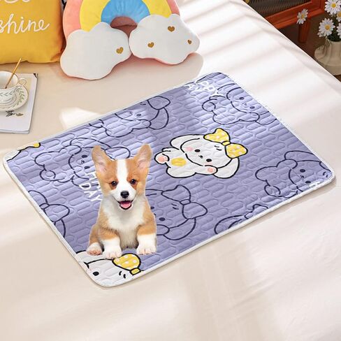 بطانات قفص خنزير غينيا من WEWAYKGJ، 4 قطع من سجادات فراش الأرانب، وسادات تبول مضادة للماء للحيوانات الأليفة الصغيرة، ناعمة غير قابلة للانزلاق وقابلة للغسل لجرو القطط شينشيلا (15.6 × 23.5 بوصة) in Kuwait