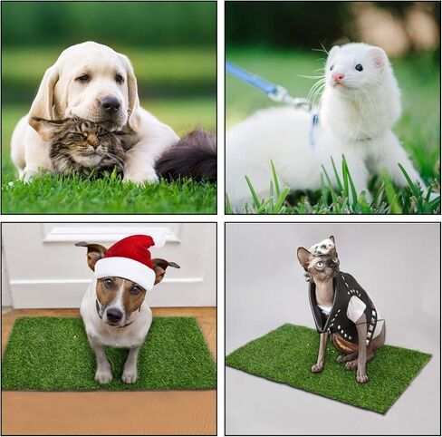 قطعتان من وسادات تبول خنزير غينيا من العشب الاصطناعي من أولوك - 15.7 × 23.6 بوصة، سجادة عشبية وهمية للتدريب على المرحاض، استبدال العشب الاصطناعي للجرو والأرانب والهامستر والأرانب والجربوع والحيوانات الصغيرة الأخرى in Kuwait