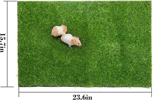 قطعتان من وسادات تبول خنزير غينيا من العشب الاصطناعي من أولوك - 15.7 × 23.6 بوصة، سجادة عشبية وهمية للتدريب على المرحاض، استبدال العشب الاصطناعي للجرو والأرانب والهامستر والأرانب والجربوع والحيوانات الصغيرة الأخرى in Kuwait