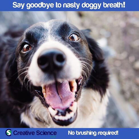 BREATHALYSER imrex Pet Breath Freshener and Dental Care Water Additive for Dogs and Cats | 500 ml in Saudi Arabia