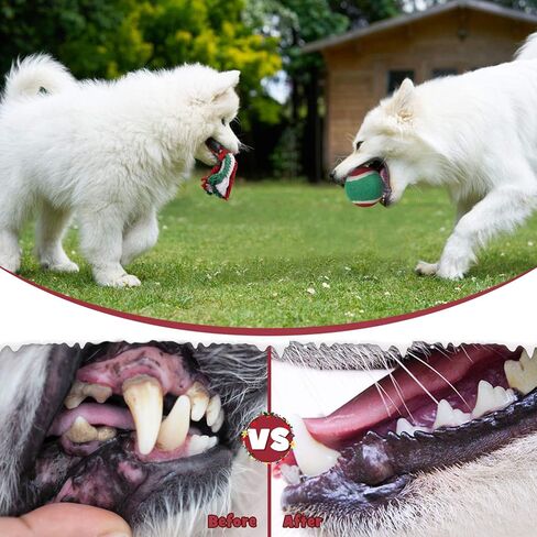 Sanlebi Christmas Dog Rope Toys - Tough Pets Puppy Chew Interactive Toys Washable Colored Cotton Rope for Large Medium Dogs Teeth Cleaning in Kuwait