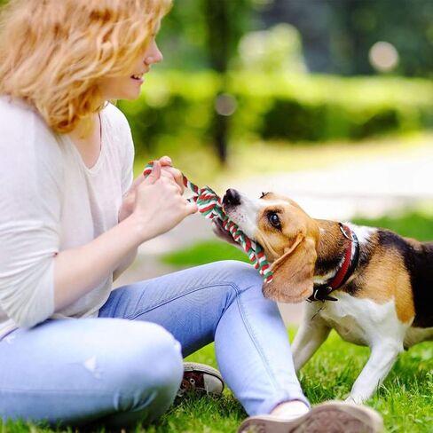 Sanlebi Christmas Dog Rope Toys - Tough Pets Puppy Chew Interactive Toys Washable Colored Cotton Rope for Large Medium Dogs Teeth Cleaning in Kuwait