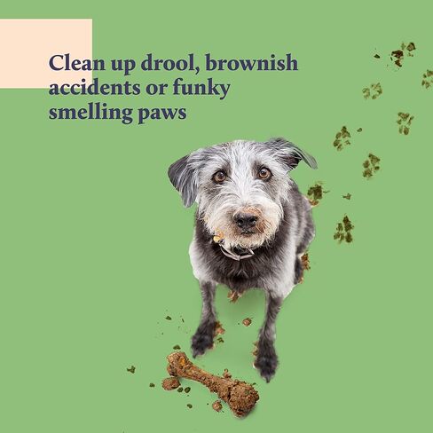 Kenn & Kitt Dog Grooming Wipes | Gentle, Moisturizing, Hypoallergenic Dog Wipes with Skin Soothing Aloe Vera | Puppy Wipes for Face and Paws | Dog Ear Wipes | Dog Eye Wipes | Pet Wipes | 100 Count in Kuwait