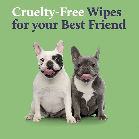 Kenn & Kitt Dog Grooming Wipes | Gentle, Moisturizing, Hypoallergenic Dog Wipes with Skin Soothing Aloe Vera | Puppy Wipes for Face and Paws | Dog Ear Wipes | Dog Eye Wipes | Pet Wipes | 100 Count in Kuwait