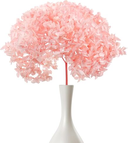 ميهواج قطعة واحدة من زهور الكوبية الوردية المجففة المحفوظة لديكور المنزل - حجم كبير بطول 17 انش مع براعم جذعية بقطر 8-10 انش لدعائم الصور، بتلات الكوبية الحقيقية للمزهرية وترتيبات الزفاف والمكتب in Kuwait