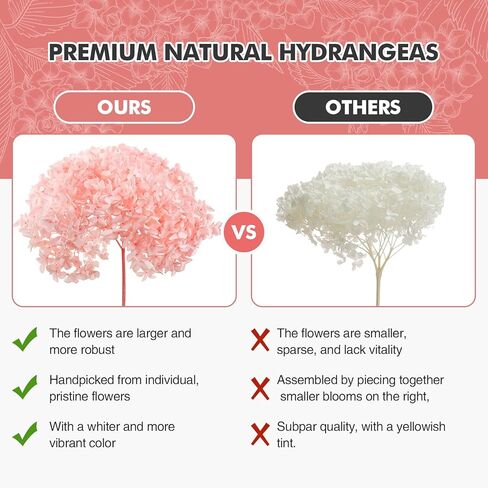 ميهواج قطعة واحدة من زهور الكوبية الوردية المجففة المحفوظة لديكور المنزل - حجم كبير بطول 17 انش مع براعم جذعية بقطر 8-10 انش لدعائم الصور، بتلات الكوبية الحقيقية للمزهرية وترتيبات الزفاف والمكتب in Kuwait