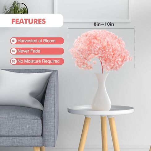 ميهواج قطعة واحدة من زهور الكوبية الوردية المجففة المحفوظة لديكور المنزل - حجم كبير بطول 17 انش مع براعم جذعية بقطر 8-10 انش لدعائم الصور، بتلات الكوبية الحقيقية للمزهرية وترتيبات الزفاف والمكتب in Kuwait