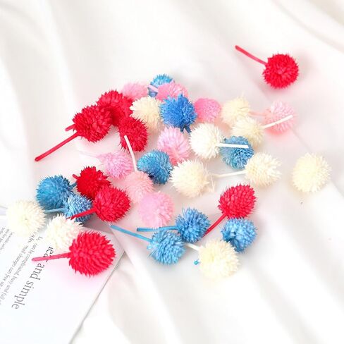 رؤوس زهور الفراولة المجففة الصغيرة - 70 ~ 80 قطعة من زهور الأقحوان المجففة، زهور جافة DIY لديكور الزفاف، ديكور الحفلات المنزلية والزهور الصغيرة للحرف اليدوية (متعددة الألوان) in Kuwait