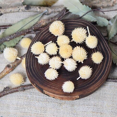 رؤوس زهور الفراولة المجففة الصغيرة - 70 ~ 80 قطعة من زهور الأقحوان المجففة، زهور جافة DIY لديكور الزفاف، ديكور الحفلات المنزلية والزهور الصغيرة للحرف اليدوية (متعددة الألوان) in Kuwait