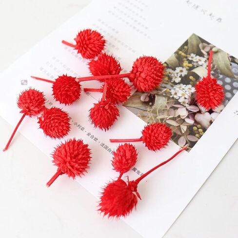 رؤوس زهور الفراولة المجففة الصغيرة - 70 ~ 80 قطعة من زهور الأقحوان المجففة، زهور جافة DIY لديكور الزفاف، ديكور الحفلات المنزلية والزهور الصغيرة للحرف اليدوية (متعددة الألوان) in Kuwait