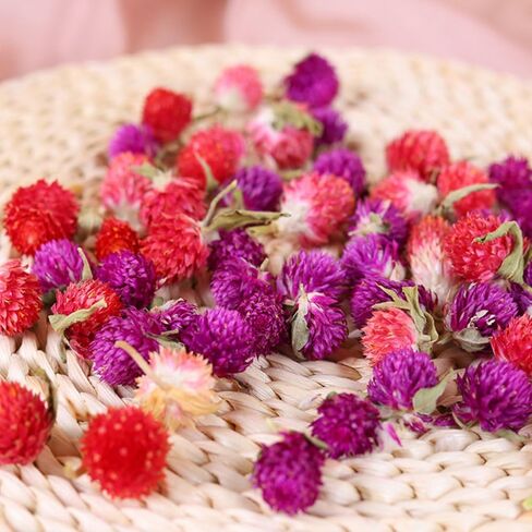 رؤوس زهور الفراولة المجففة الصغيرة - 70 ~ 80 قطعة من زهور الأقحوان المجففة، زهور جافة DIY لديكور الزفاف، ديكور الحفلات المنزلية والزهور الصغيرة للحرف اليدوية (متعددة الألوان) in Kuwait