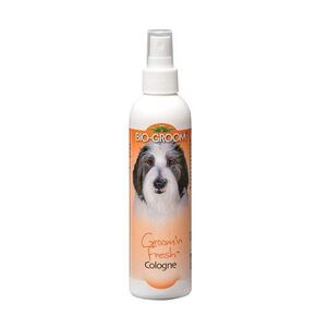 Bio-groom Groom N Fresh Cologne 8 oz - Pack of 3 in Kuwait